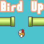 Play Bird Up