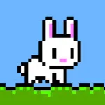 Poor Bunny